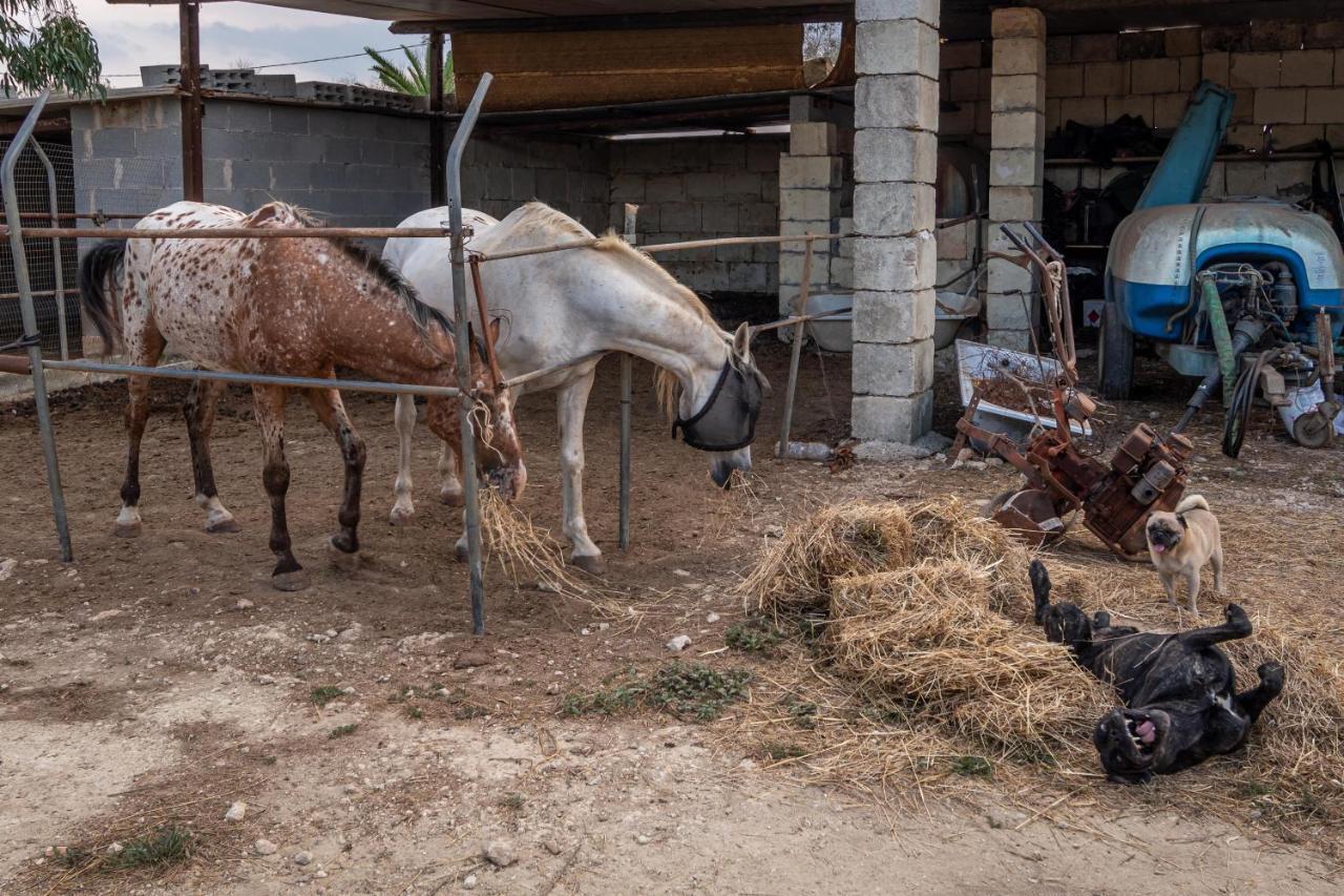 Masseria Cinti Bagnolo del Salento Exteriér fotografie